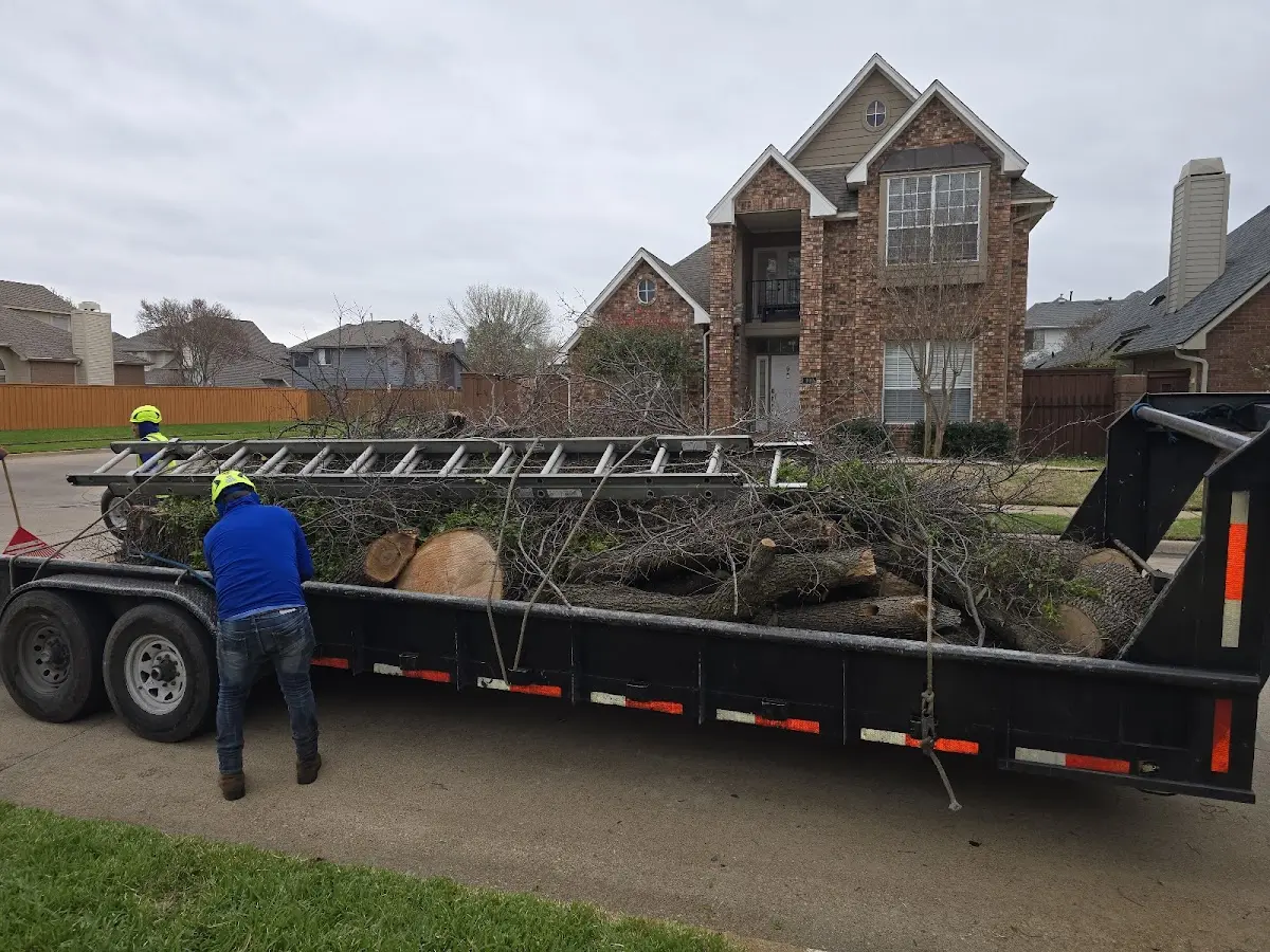Expert Tree Pest Control with proper safety equipment in Lexington